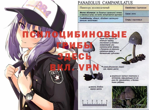 не бодяженный Мегион